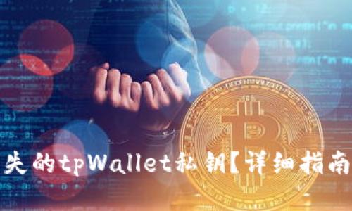 如何找回丢失的tpWallet私钥？详细指南与解决方案