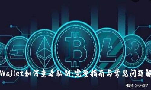 tpWallet如何查看私钥:完整指南与常见问题解答