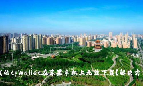 为什么我的tpWallet在苹果手机上无法下载?解决方法与建议