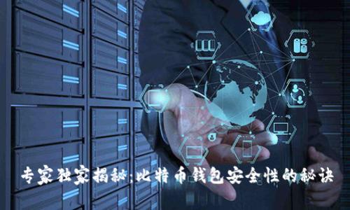 专家独家揭秘：比特币钱包安全性的秘诀