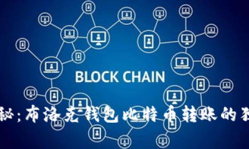 专家揭秘：布洛克钱包比特币转账的独家秘诀