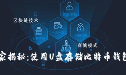 专家独家揭秘：使用U盘存储比特币钱包的秘诀
