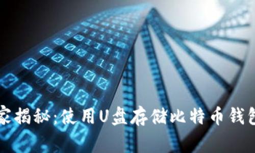 专家独家揭秘：使用U盘存储比特币钱包的秘诀