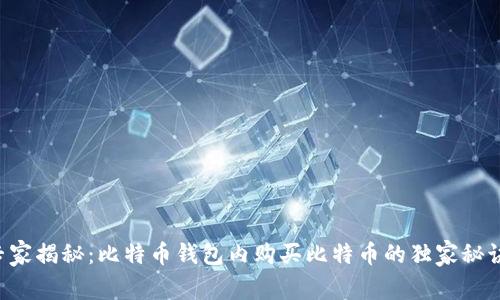专家揭秘：比特币钱包内购买比特币的独家秘诀！