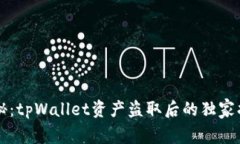 专家揭秘：tpWallet资产盗取后的独家找