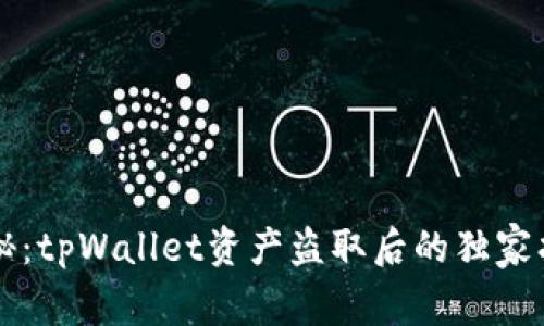 专家揭秘：tpWallet资产盗取后的独家找回秘诀