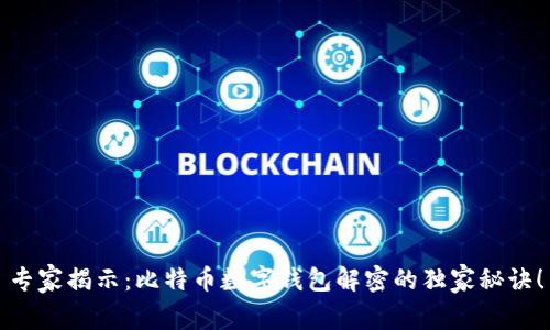 专家揭示：比特币数字钱包解密的独家秘诀！
