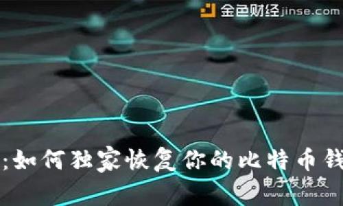 专业人士揭秘：如何独家恢复你的比特币钱包的秘密秘诀
