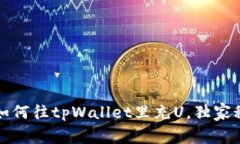 专家教你：如何往tpWallet里充U，独家秘