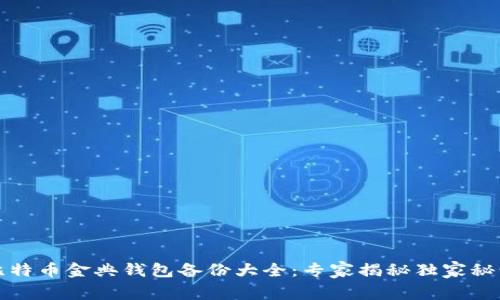 比特币金典钱包备份大全：专家揭秘独家秘诀