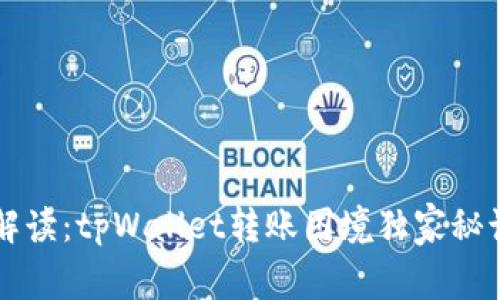 专家解读：tpWallet转账困境独家秘诀解析