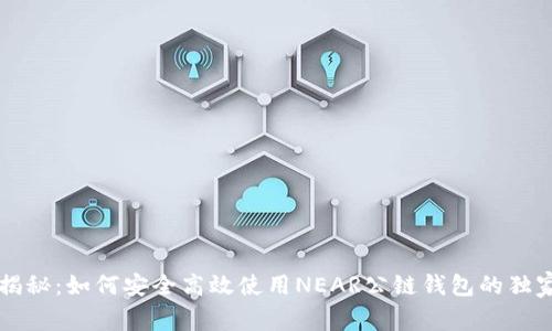 专家揭秘：如何安全高效使用NEAR公链钱包的独家秘诀