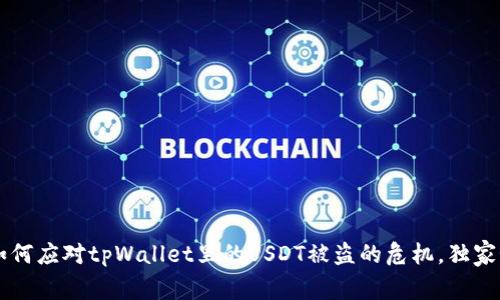 专家教你如何应对tpWallet里的USDT被盗的危机，独家秘诀在这里