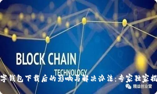 数字钱包下载后的影响与解决办法：专家独家揭秘