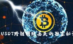 专家揭秘：TP钱包USDT跨链转账丢失的独