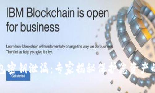 比特币钱包密钥泄漏：专家揭秘保护您资产的独家秘诀