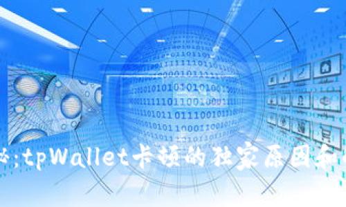 专家揭秘：tpWallet卡顿的独家原因和解决秘诀