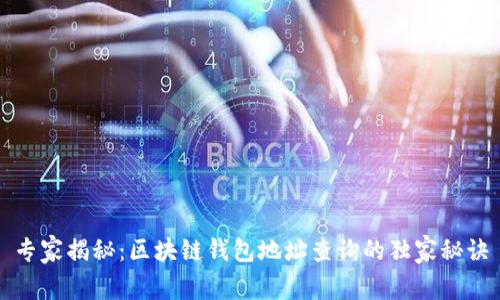 专家揭秘：区块链钱包地址查询的独家秘诀