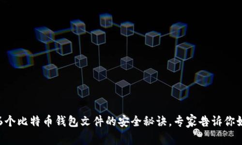 独家揭秘：16个比特币钱包文件的安全秘诀，专家告诉你如何保护资产