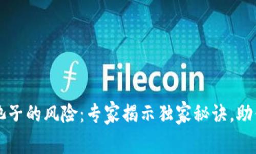 tpWallet添加池子的风险：专家揭示独家秘诀，助你规避投资陷阱