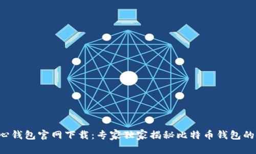 比特币核心钱包官网下载：专家独家揭秘比特币钱包的使用秘诀！