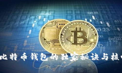 专家解密：比特币钱包的独家秘诀与核心功能分析