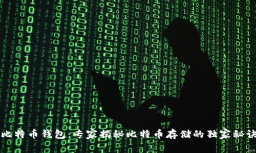 比特币钱包：专家揭秘比特币存储的独家秘诀