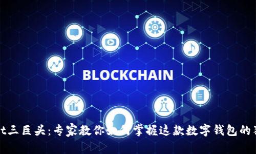 tpWallet三巨头：专家教你如何掌握这款数字钱包的独家秘诀