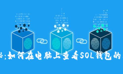专家揭秘：如何在电脑上查看SOL钱包的独家秘诀