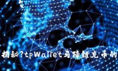 【专家独家揭秘】tpWallet马蹄链充币的