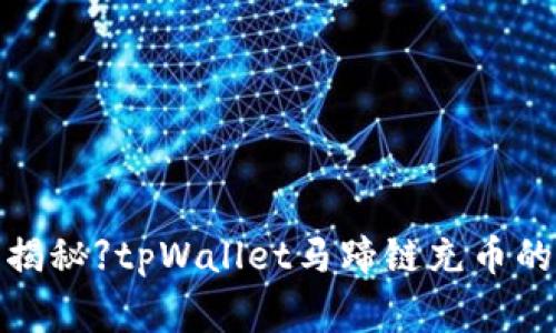 【专家独家揭秘】tpWallet马蹄链充币的终极秘诀！
