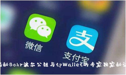 揭秘Bohr波尔公链与tpWallet的专家独家秘诀！