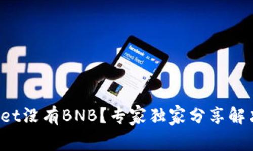tpWallet没有BNB？专家独家分享解决秘诀！