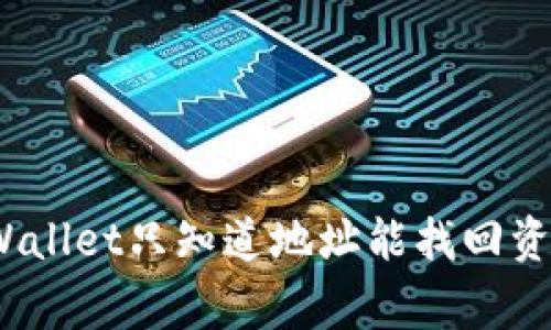 专家揭秘：tpWallet只知道地址能找回资金的独家秘诀
