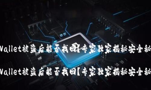 tpWallet被盗后能否找回？专家独家揭秘安全秘诀！

tpWallet被盗后能否找回？专家独家揭秘安全秘诀！