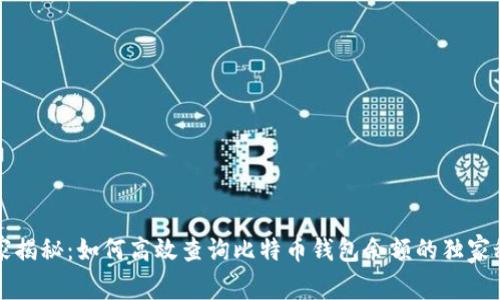 专家揭秘：如何高效查询比特币钱包余额的独家秘诀