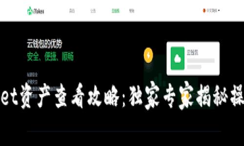 tpWallet资产查看攻略：独家专家揭秘操作秘诀