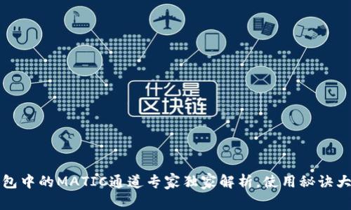 TP钱包中的MATIC通道专家独家解析，使用秘诀大公开