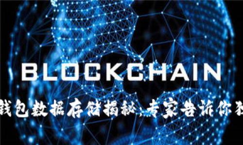 比特币钱包数据存储揭秘：专家告诉你独家秘诀