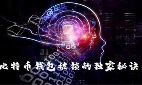 专家揭秘：比特币钱包被锁的独家秘诀与解决方案