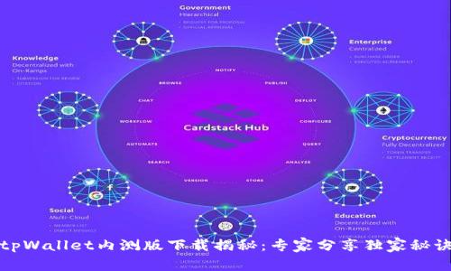 tpWallet内测版下载揭秘：专家分享独家秘诀