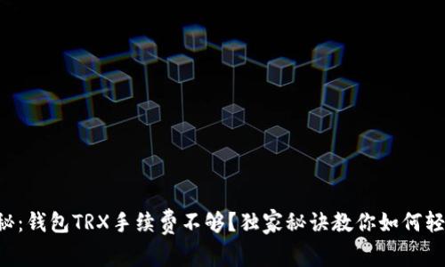 专家揭秘：钱包TRX手续费不够？独家秘诀教你如何轻松兑换！