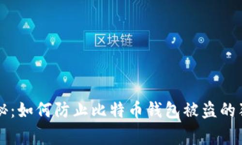 专家揭秘：如何防止比特币钱包被盗的独家秘诀