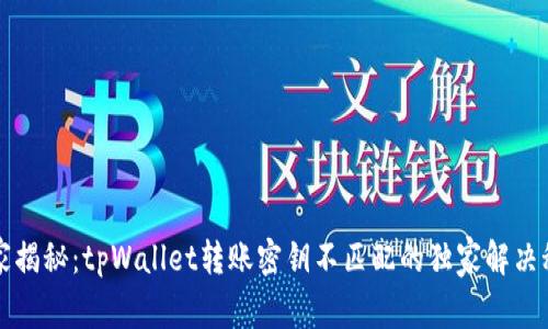专家揭秘：tpWallet转账密钥不匹配的独家解决秘诀