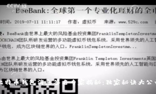 比特币钱包消息签名专家揭秘：独家秘诀大公开