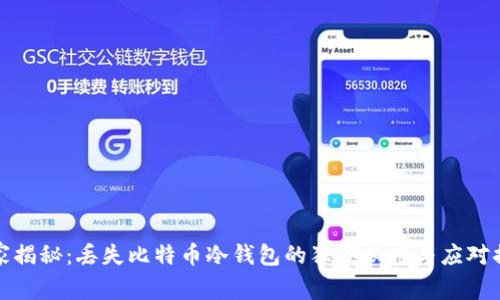 专家揭秘：丢失比特币冷钱包的独家秘密与应对措施