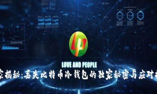 专家揭秘：丢失比特币冷钱包的独家秘密与应对措施