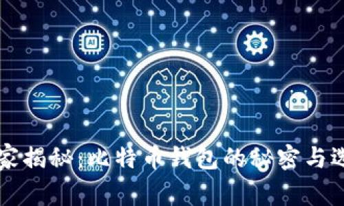 专家独家揭秘：比特币钱包的秘密与选择秘诀