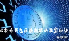 专家揭示：比特币钱包区块损坏的独家