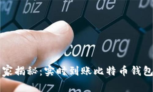专家独家揭秘：实时到账比特币钱包的秘诀